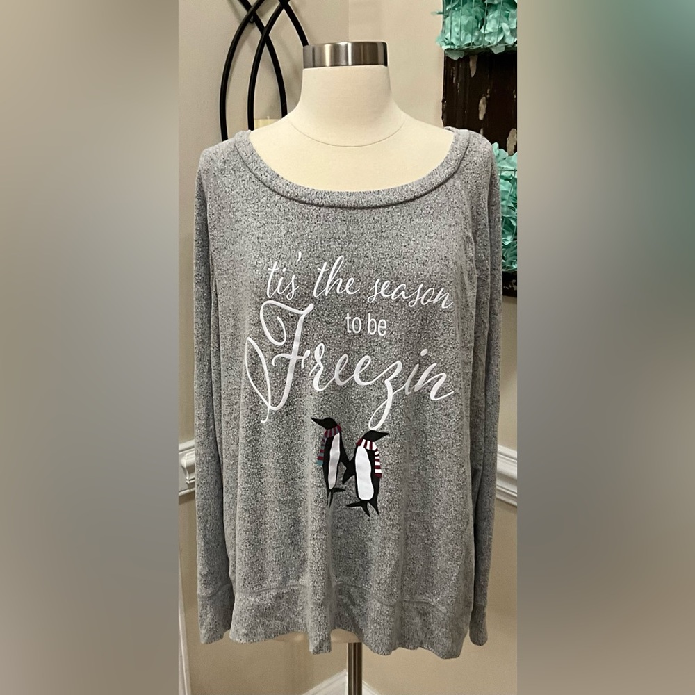 CaciqueGray Sweater Size 22/24
